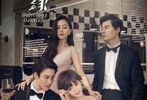 美味奇缘免费在线观看,一场美食与爱情的浪漫邂逅