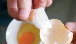 鸡蛋壳最新爆料,揭秘行业背后惊人真相