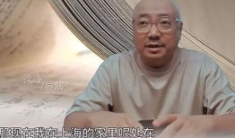 徐峥爆料张庭了吗视频,揭秘娱乐圈惊人真相