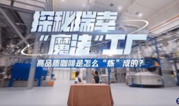 瑞幸咖啡最新爆料新闻,财务造假风波再起，真相究竟如何？