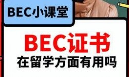 教师吃瓜爆料视频大全下载,吃瓜爆料视频大全下载背后的故事