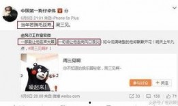回忆卓伟爆料视频大全下载,揭秘娱乐圈幕后真相