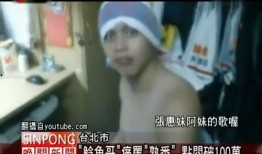 韩国鲶鱼爆料视频大全在线观看,揭秘娱乐圈幕后真相