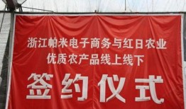 在线观看致富经,揭秘网络时代财富增长之道