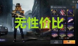 军需新皮肤最新爆料军需,神秘元素与战斗荣耀的完美融合