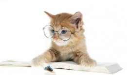 娱乐吃瓜君猫猫子,揭秘娱乐圈那些不为人知的幕后故事