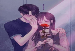 博主爆料娱乐圈小说女主,女主逆袭，笑傲巅峰