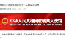 瑞典爆料大使馆视频播放,视频曝光背后的真相与争议