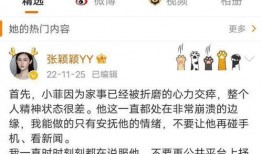 小菲最新爆料,揭秘娱乐圈最新热点事件