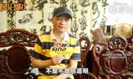 爆料杨子黄圣依视频,娱乐圈再掀波澜