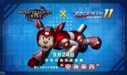 小兽爆料教练视频大全,教练视频大全精彩瞬间大盘点