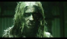 狂咬一族在线观看,在线惊悚盛宴，揭秘嗜血狂潮