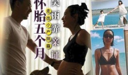 插插姐妹在线观看,一场跨越时空的姐妹情深之旅