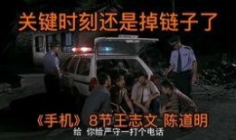 手机范明版在线观看,在线观看，笑料横生的喜剧盛宴