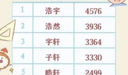 爆料新闻起名,爆料新闻背后的惊人真相