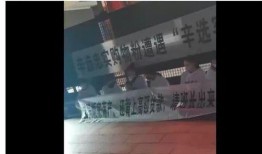 网友爆料辛巴家产品视频,网友热议品质与效果