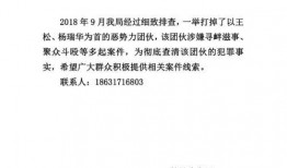 沧州高铁爆料最新消息,揭秘未来交通枢纽新蓝图