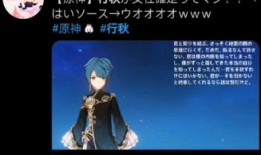 原神大舅爆料推特视频在线观看,独家爆料带你领略游戏幕后故事