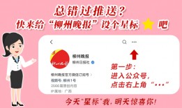 瑞幸咖啡最新爆料新闻,财务造假风波再起，真相究竟如何？