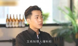 张若昀爆料爱尔兰视频,一场浪漫与自然的邂逅