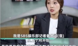 韩国记者爆料事件视频,揭秘幕后真相