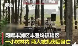 唐山视频爆料,还原事件真相，揭开暴力冲突背后