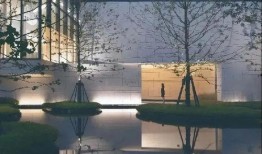 深圳艺星爆料最新消息视频,揭秘视频背后的惊人真相