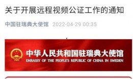 瑞典爆料大使馆视频播放,视频曝光背后的真相与争议