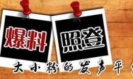 闲云最新爆料新闻,娱乐圈最新爆料事件深度解析