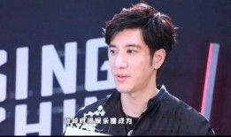 最近爆料王力宏视频,揭秘娱乐圈不为人知的真相