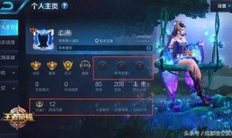 王者宋文爆料视频下载,游戏内幕大公开