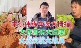 老挝小伟爆料视频大全集,揭秘真实老挝生活点滴