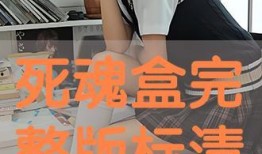 死魂盒在线观看,揭开神秘诅咒的惊悚之旅