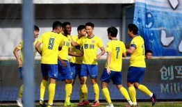 fc足球最新爆料,揭秘新赛季足球联赛风云变幻