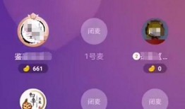 网友爆料辛巴家产品视频,网友热议品质与效果