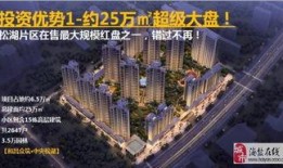 东莞东坑今日爆料事件最新,事件真相及影响全解析