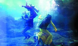 cf海底世界最新爆料,神秘海洋生物齐聚，探险之旅即将开启！
