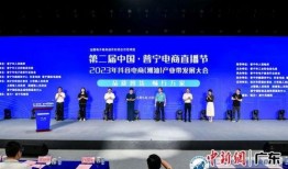 揭阳普宁新闻爆料案件,惊曝重大案件细节披露
