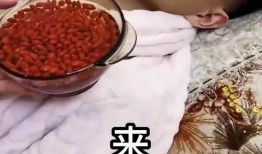 大郎夫妇爆料视频,真实生活背后的惊人真相