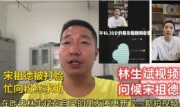 宋大嘴最新爆料视频播放,热点事件背后的惊人真相
