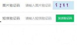 g支付官网最新版本爆料,功能升级与用户体验革新亮点抢先看