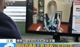 老挝主播爆料视频播放大全,真实生活与网络世界的碰撞