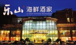 乐山酒店爆料视频大全最新,揭秘酒店行业那些不为人知的秘密