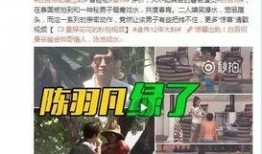 卓伟爆料未婚男歌手视频,未婚男歌手私密视频引发热议