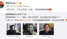 中国导演爆料新闻事件视频,新闻事件背后的真相与争议