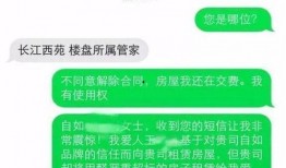 阿里家属爆料视频,内幕惊人，真相令人震惊