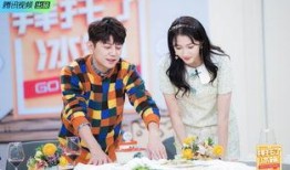 拜托了冰箱在线观看,揭秘明星私藏美食，在线观看美食盛宴