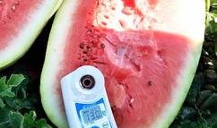 最新的瓜爆料的网红,网红新动态，揭秘背后惊人真相！