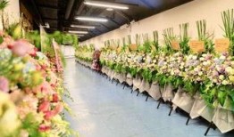 花篮网最新爆料视频大全