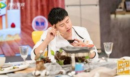 拜托了冰箱在线观看,揭秘明星私藏美食，在线观看美食盛宴